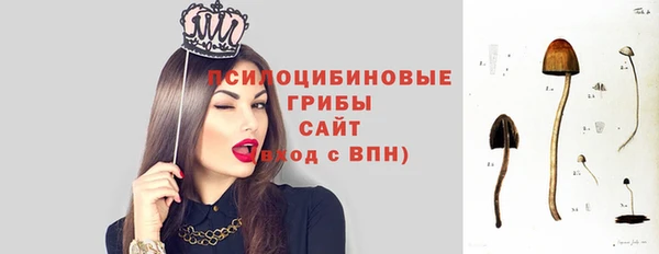 MDMA Premium VHQ Михайловка