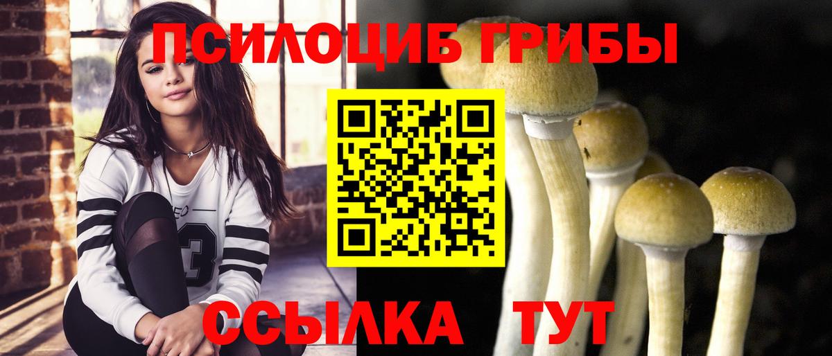 наркота  Вход с VPN  Пермь  Галлюциногенные грибы Magic Shrooms  Псилоцибиновые грибы Cubensis 